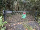  Pahoa Rd - Photo 2
