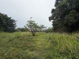  Pahoa Rd - Photo 17