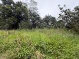  Pahoa Rd - Photo 18