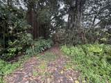  Pahoa Rd - Photo 4