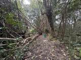  Pahoa Rd - Photo 5