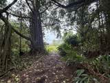  Pahoa Rd - Photo 6