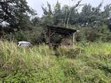  Pahoa Rd - Photo 8
