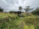  Pahoa Rd - Photo 9