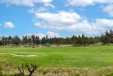 69-180 Waikoloa Beach Dr - Photo 3