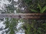  36TH AVE - Photo 6