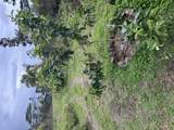 16-1945 Road 5 (Uau) - Photo 5