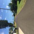 4463 Makaha Rd - Photo 1