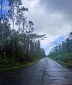  Kehau Rd - Photo 7
