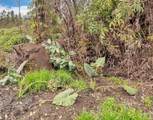 11-3148 Pa Alii St - Photo 1