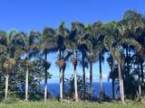 39-3296 Old Mamalahoa Hwy - Photo 11