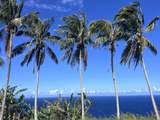 39-3296 Old Mamalahoa Hwy - Photo 3