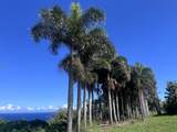 39-3296 Old Mamalahoa Hwy - Photo 6