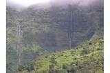 7060 Kahuna Rd - Photo 4