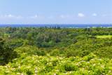 3-3400 Kuhio Hwy - Photo 2