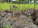 17-4117 Kukui Camp Rd - Photo 4