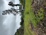 17-4117 Kukui Camp Rd - Photo 8