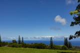  Waiolu Pl - Photo 1