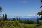  Waiolu Pl - Photo 2