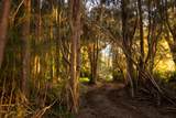  Waiolu Pl - Photo 6
