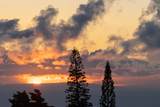  Waiolu Pl - Photo 8