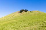 65-1229-A Opelo Road - Photo 15
