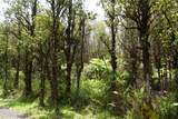  Road 11 - Photo 3