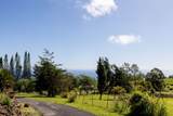 44-2527 Kalopa Mauka Rd - Photo 2