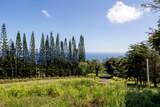 44-2527 Kalopa Mauka Rd - Photo 3