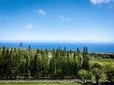 44-2527 Kalopa Mauka Rd - Photo 6