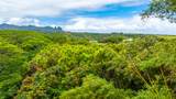 5410 Kumole St - Photo 12