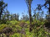  Noio St - Photo 1