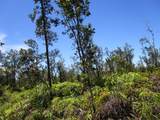  Noio St - Photo 2