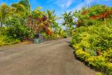 12-7124 Kalapana Kapoho Beach Rd - Photo 28