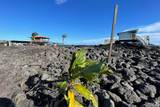  Chain Of Craters Rd - Photo 10