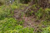 16-331 Kiele St - Photo 15