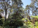  Nahelenani St - Photo 1