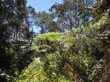  Nahelenani St - Photo 2