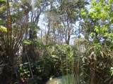  Nahelenani St - Photo 1