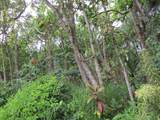  Kekainehe St - Photo 1