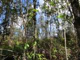  Road 11 (Pulelehua) - Photo 1