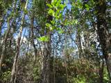  Road 11 (Pulelehua) - Photo 2