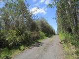  Road 11 (Pulelehua) - Photo 3