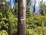  Makoa Rd - Photo 3