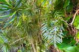  Kumu St - Photo 7
