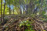  Kumu St - Photo 9