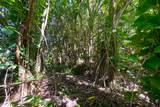 Kumu St - Photo 12