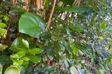  Kumu St - Photo 15