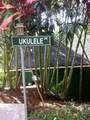3198 Wawae Rd - Photo 22