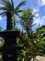 3198 Wawae Rd - Photo 30